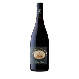 Antico Broilo - Pinot Nero Bio - Colli Orientali - 2018 - Enolike