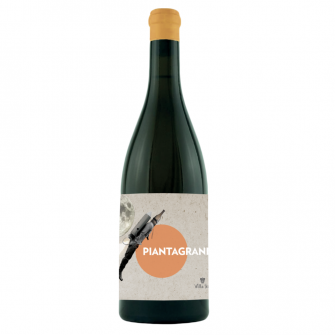 Villa Job - Pinot Grigio - Piantagrane - 2017 - Enolike
