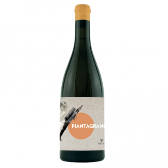 Villa Job - Pinot Grigio - Piantagrane - Enolike