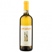 Enolike - PerLaGioia - Ancarani winery - Emilia Romagna
