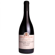 Bourgogne Côte d’Or - Au Prunier - 2019 - Château de Laborde - Enolike