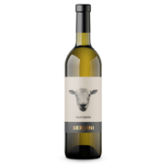 Enolike - Sauvignon Bio - IGT - PURO - 2019 - Bervini - Friuli VG