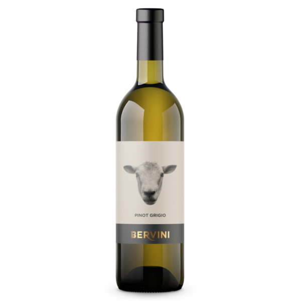 Enolike . Pinot Grigio Bio - IGT - PURO - 2019 - Bervini - Friuli VG