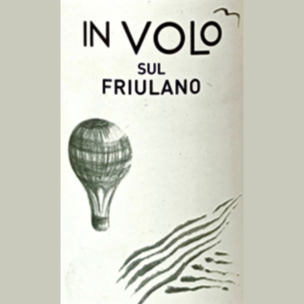 Enolike - Friulano - In Volo Sul - IGT - 2021 - Rodaro