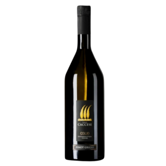 Enolike - Pinot Grigio DOC - Cantina Paolo Caccese
