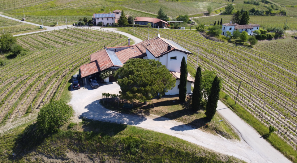 Paolo Caccese Azienda vitivinicola