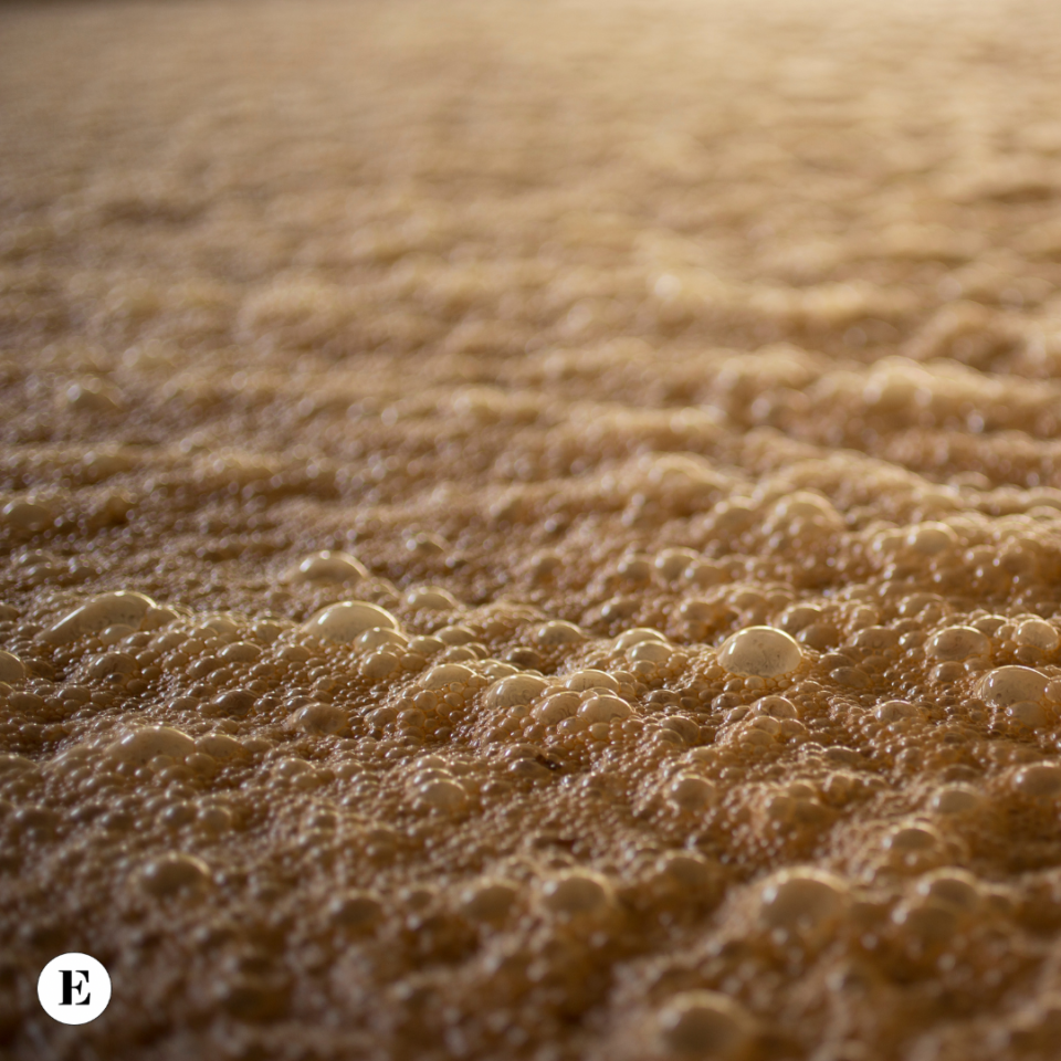 Enolike - The Malolactic Fermentation in wine and Its Magic - Enolike