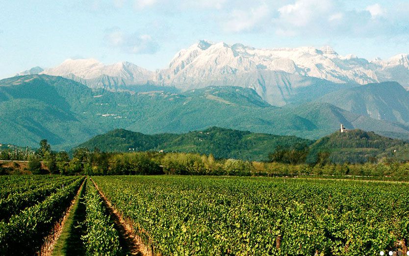 enolike - Vie Di Romans - Friuli Venezia Giulia