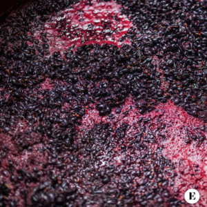 enolik - Delestage: Un'Arte nella Vinificazione dei Vini Rossi