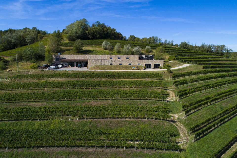 Enolike - Vigna Traverso - Friuli Venezia Giulia