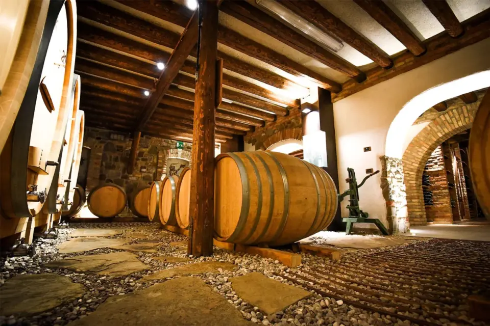 Enolike - Venica & Venica - Friuli Venezia Giulia