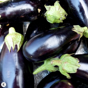 enolike - Maccheroncini con Melanzana, Ossocollo e Ricotta Affumicata