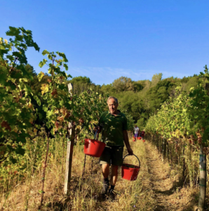 Enolike - Cantina Sosol - Friuli Venezia Giulia