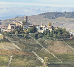 Enolike - Alla Scoperta delle Langhe: Un Paradiso di Vini, Colline e Tradizioni