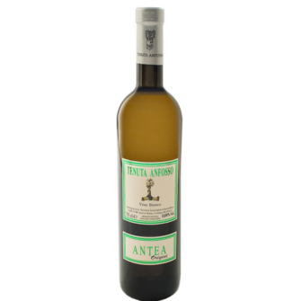 Enolike - Antea Bianco - Tenuta Anfosso