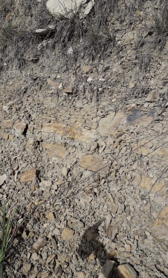 Enolike - Sara & Sara winery